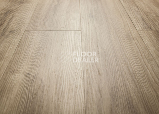 IVC Ultimo (DryBack) IVC Ultimo 24219Q фото 11 | FLOORDEALER